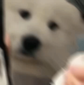 表情包|360°运镜指人gif表情包_腾讯新闻