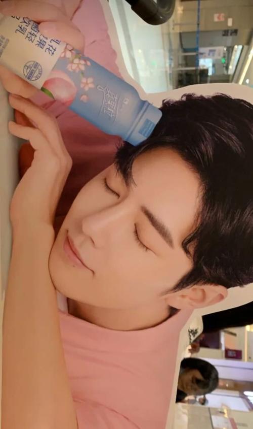 壁纸‖肖战&小飞侠