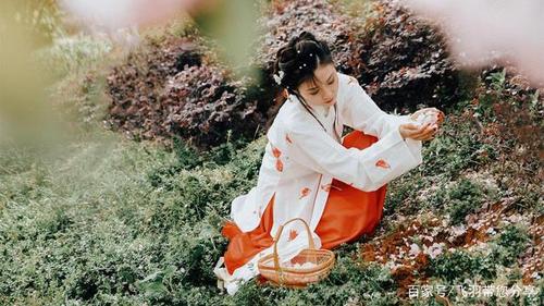 《红楼梦》里的黛玉葬花,其实是为贾宝玉写的