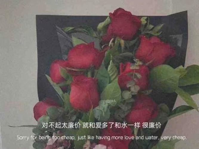 不明显的暗恋文案