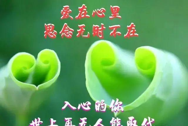 爱你,你是心里一辈子的知己 想你,余生有你再无他求