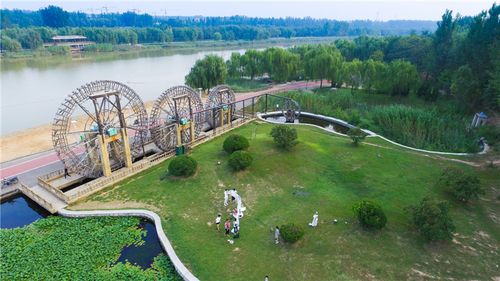 冬看雪……如今的德州市减河湿地公园,一年四季风景各异