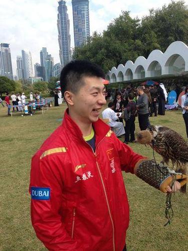 高清图:马龙迪拜架鹰玩鸟 搭档异域美女玩乒乓