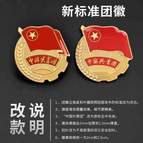 团员团徽2021标准型中国共青团中央监制正版学校学生用入团胸针别针式