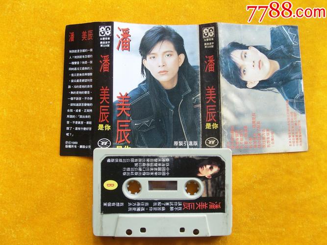 潘美辰,是你