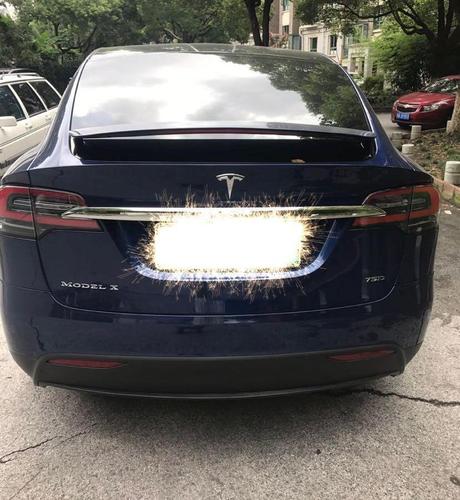 特斯拉 model x 75d图片