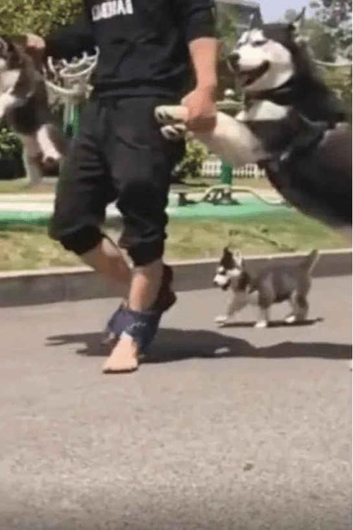 拖鞋都跑到脚脖子上了哈哈哈哈哈