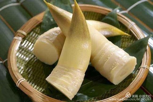 葛老师偷偷告诉你们哦:有竹子妈妈的地方就有竹笋宝宝,我在公园里