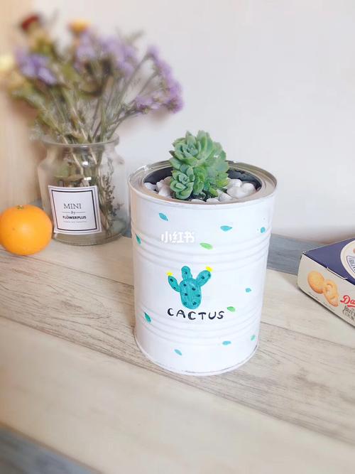 奶粉罐制作花盆_樱花雨_花 怎么样_一起来看樱花雨_家居家装_家居装饰