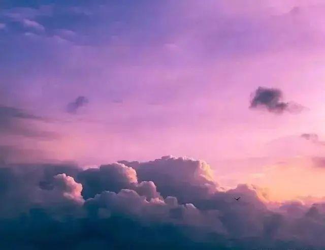 唯美暮色句子我在离你最近的黄昏里听暮色四起看路过风疾