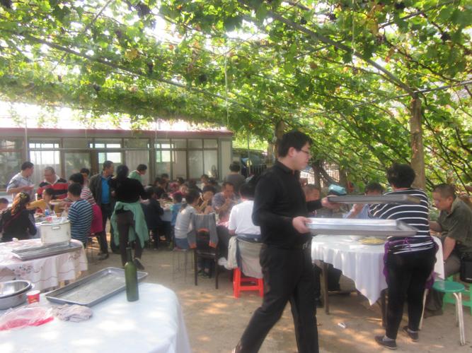 秦皇岛昌黎葡萄沟农家院住宿-昌黎葡萄沟树成庄园-旅游-餐饮-采摘
