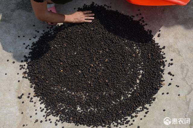 [柑橘落地果批发] 柑橘落地果柑橘胎果价格18元/斤 - 惠农网