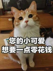 您的小可爱想要一点零花钱
