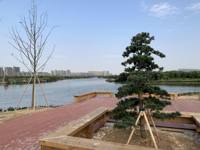 温州城市绿肾:三垟湿地公园