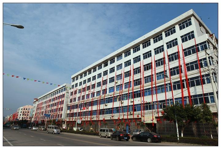 【莘塍庙会-抬佛摄影图片】瑞安市莘塍镇纪实摄影_江海摄影_太平洋