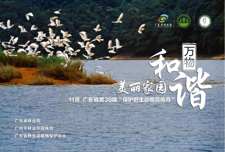 2020深圳保护野生动物宣传月开幕活动详情