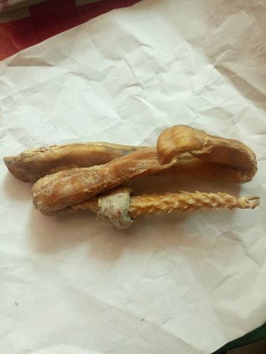 我要卖个家传东北虎虎鞭 谁知在哪卖 值多少