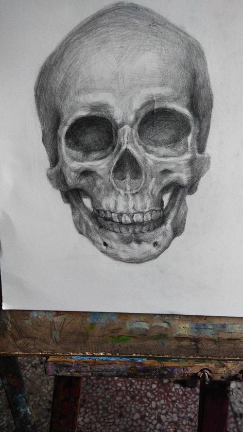 骷髅练习.|纯艺术|绘画|7号机 - 原创作品 - 站酷 (zcool)