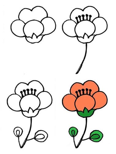 一大波漂亮的花朵简笔画画法步骤图