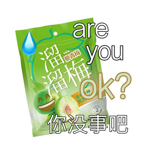 你没事吧没事就吃溜溜梅