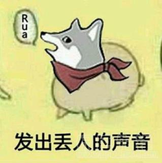 quin头像表情包