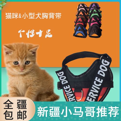 猫咪牵引绳猫链子防挣脱遛猫绳胸背带猫项圈猫咪专用背心式溜猫绳
