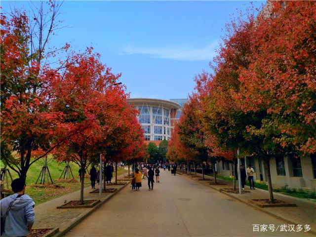 又到红枫季-文华学院举行红枫文化节