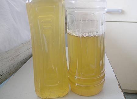 但这种泡沫在短期内会很快消失,但对于尿酸高的人来说,情况并非如此