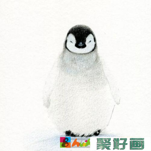 企鹅的彩铅画步骤是什么?