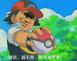 神奇宝贝:别逗,屌毛兽,快回球里来!