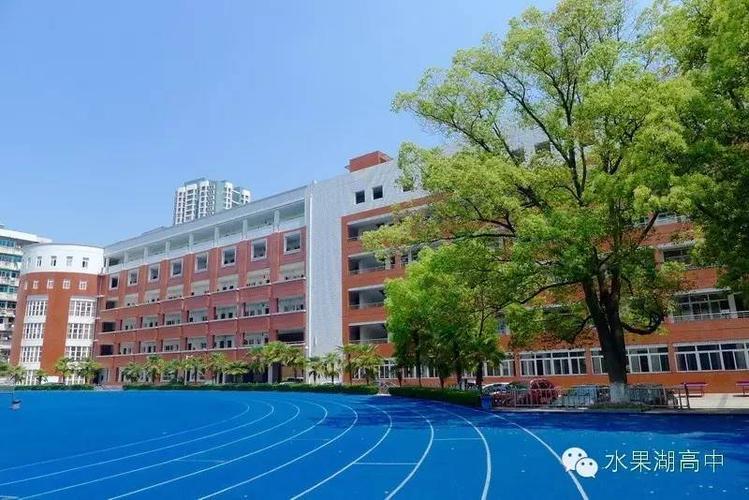 美丽的水果湖高中