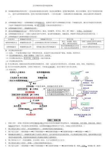 人教版高中生物选修三知识点汇总背诵版