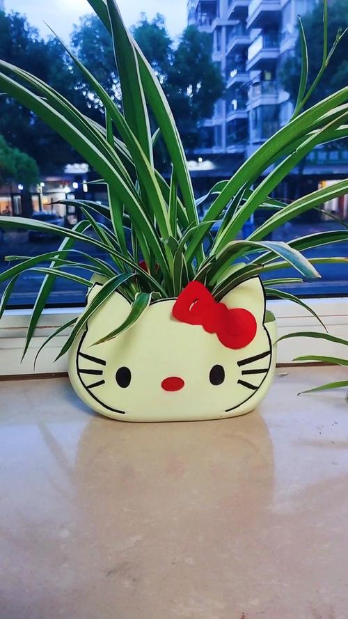 梅子手工花盆洗衣液瓶制作小猫咪花盆可爱又实用