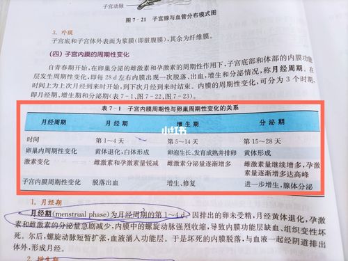 子宫内膜周期性变化_子宫_事业单位_护士_护士事业编