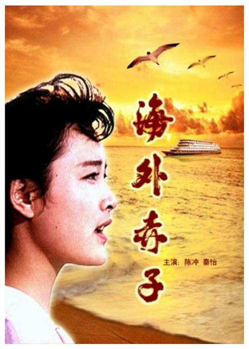 海外赤子 其它海报 - mtime时光网