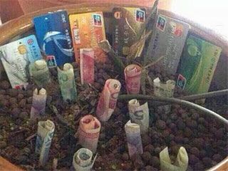 挖个坑,埋点土,数个一二三四五,自己的土自己的地,种啥都长人民币