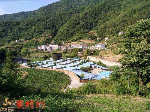 专访平利县兴隆镇党委书记魏军兴隆镇五年辉煌