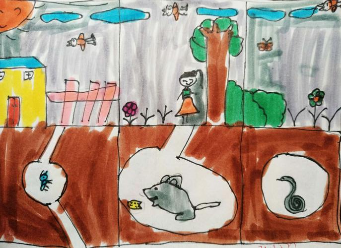 【一年级】由小到大的画