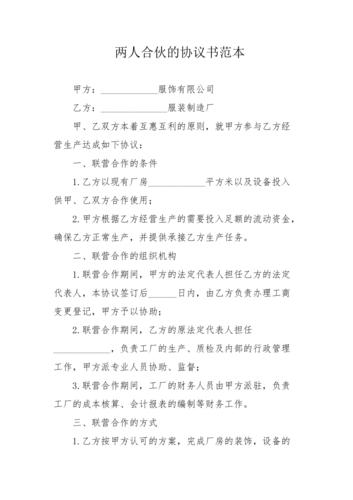 两人合伙的协议书范本