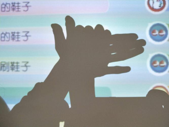 十二生肖手影游戏