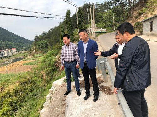 副县长王巍到舒桥乡调研工作-中国青田网