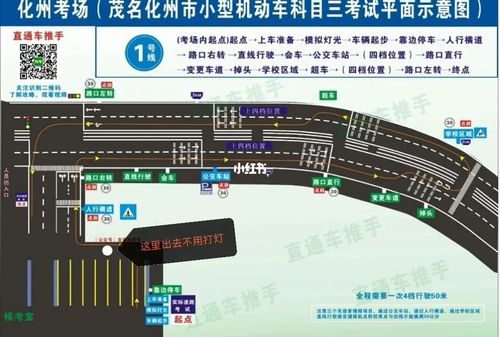 科目三_方向盘_杨梅_化州科目三_汽车_道路交通