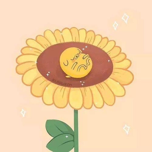 头像| 安静努力,向阳而生