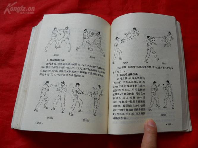 96年,武术书籍,截拳道功夫教程,李小龙风采再展!更多内容自己看!