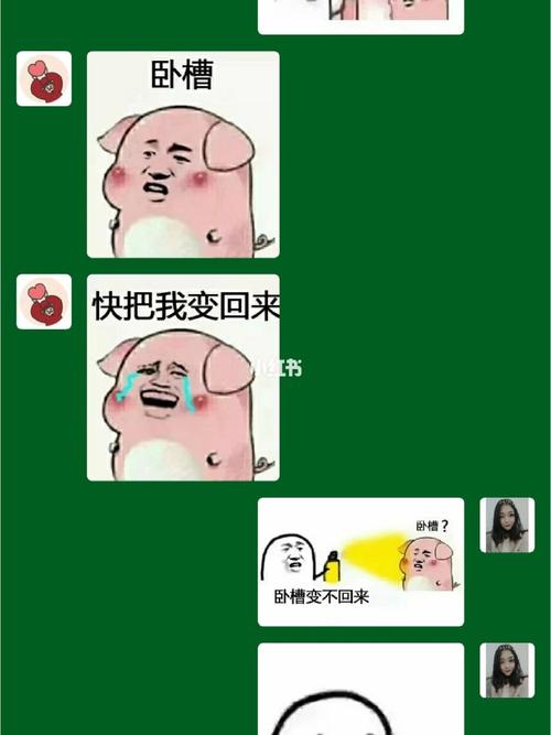 96套路表情包94变猪喷雾!