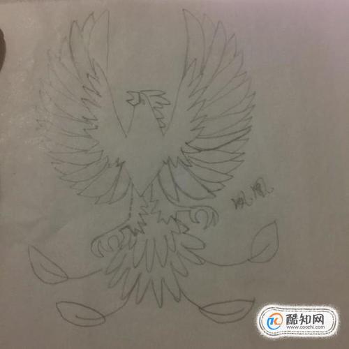 凤凰怎么画好看又简单优质