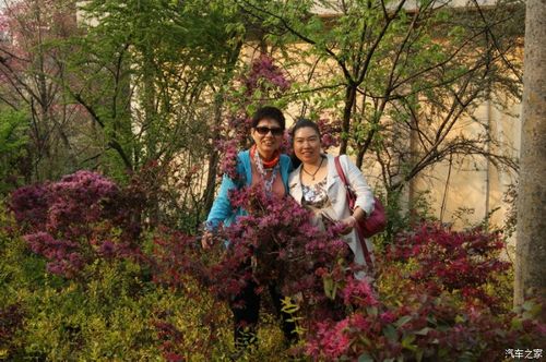 圆通山行10云南昆明市区昆明植物园三