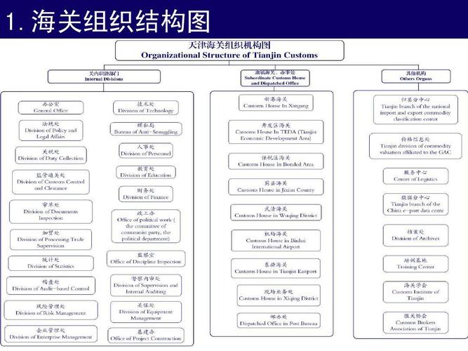 海关组织结构及隶属关系ppt