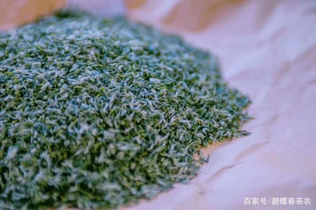 正宗碧螺春,明后炒青即将上市,茶汤更浓,价格更低,你