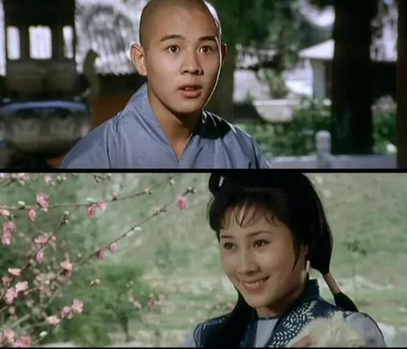 一个人的武林,王宝强,甄子丹,少林寺